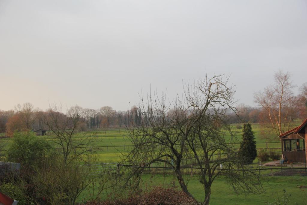 Gasthaus Eickholt Gmbh Ascheberg  Phòng bức ảnh